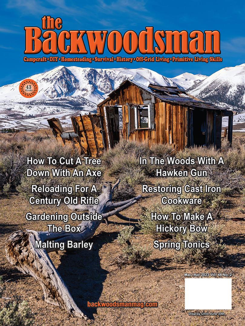 March-April 2023 cover for Backwoods Magazine